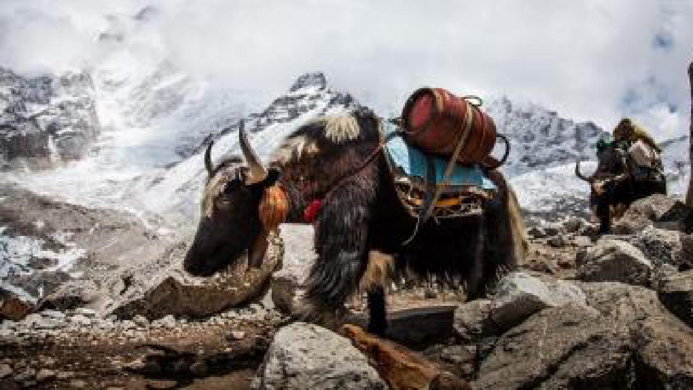 Expediční kamera 2016