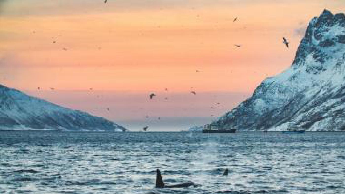 Expediční kamera 2018