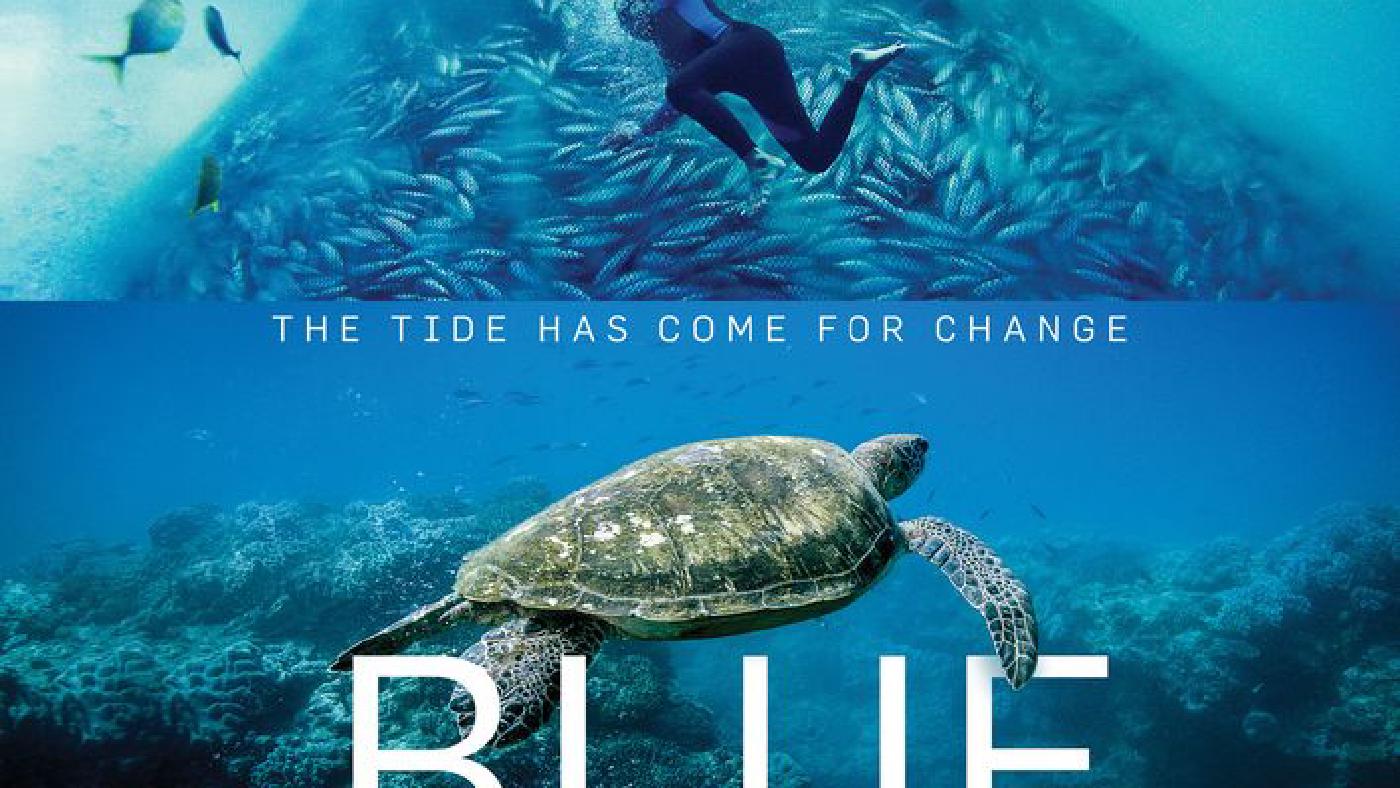 Dokumentární úterý - Azurová